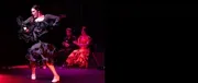 Flamenco Vivo Carlota Santana logo