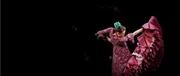 Flamenco Vivo Carlota Santana image 2