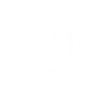 The Mansion in Butler logo