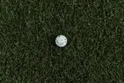 The Pines Golf Club logo