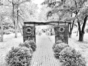 Country Pines image 3