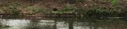 Kankakee Elks image 3