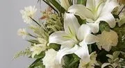 Full Circle Florist image 2