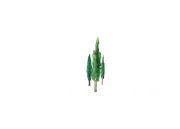 Bella Terre Vineyard & Reception Hall logo