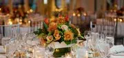 Ceruti's Catering Banquet Facilities logo