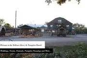 Bellevue Berry & Pumpkin Ranch logo