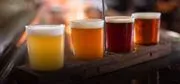Upstream Brewing Company logo