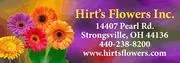 Hirt's Flowers Inc logo