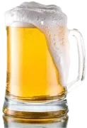 The Right Spice logo