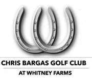 The Stone Barn logo