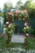 Bouquets & Beyond Florals and Events logo