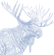Moose Home logo