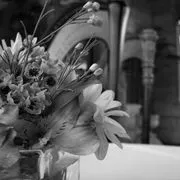 Beiger Mansion Inn image 3