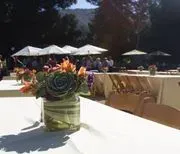 D & D Caterers logo