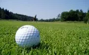 Bolingbrook Golf Club image 2