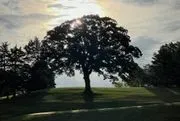 Ankeny Golf & Country Club image 2