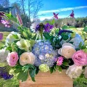 FLOWERS OF DISTINCTION image 2