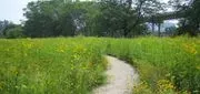 Promontory Point in Burnham Park image 2