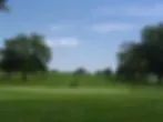 Wapsi Oaks Country Club image 2