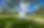 Itasca Country Club image 2