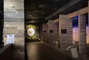 Bullseye Axe Lounge image 2