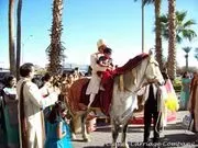 Horse N' Carriage image 2