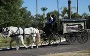 Horse N' Carriage image 3