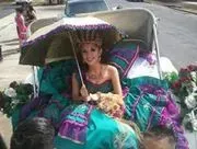 Horse N' Carriage image 4