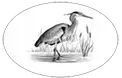 Blackstone National Golf Course logo