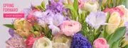 Chapel Hill Florist logo