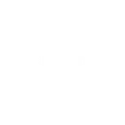 The Boston Face Painters logo