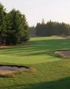 International Inc Golf Club image 2