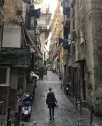 Foghound image 4