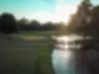 Twin Beach Country Club image 3