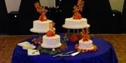 Mobile Madness DJ Service image 2