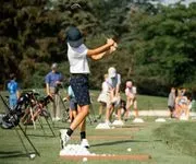 Albany Country Club Pool logo