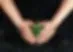 Very Important Parties image 2