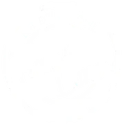 Transit Lanes Inc logo