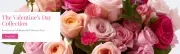 Blooms & Blossoms Florist image 3
