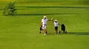 Fairways Of Woodside Golf image 2