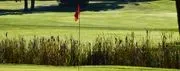 Nippo Lake Golf Club logo