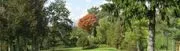 Huron Shores Golf Club image 2