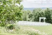 Longlook Farm image 2