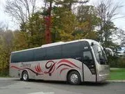 Discovery Coach image 2