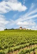King Estate Winery image 3
