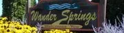 Wander Springs Golf Course logo