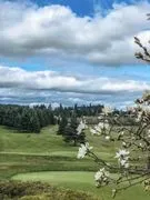 Diamond Woods Golf Course image 2