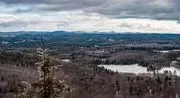 The Rocks Estate & Christmas Tree Farm image 2