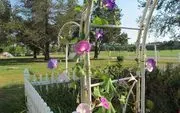 Willow Pond Bed, Breakfast & Events logo