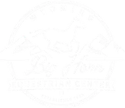 Big Horn Equestrian Center logo